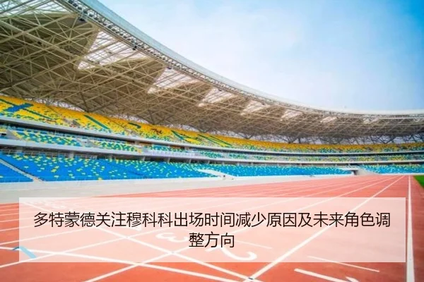 多特蒙德关注穆科科出场时间减少原因及未来角色调整方向